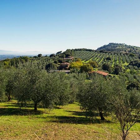 The Country House Montali Tavernelle  Exteriör bild