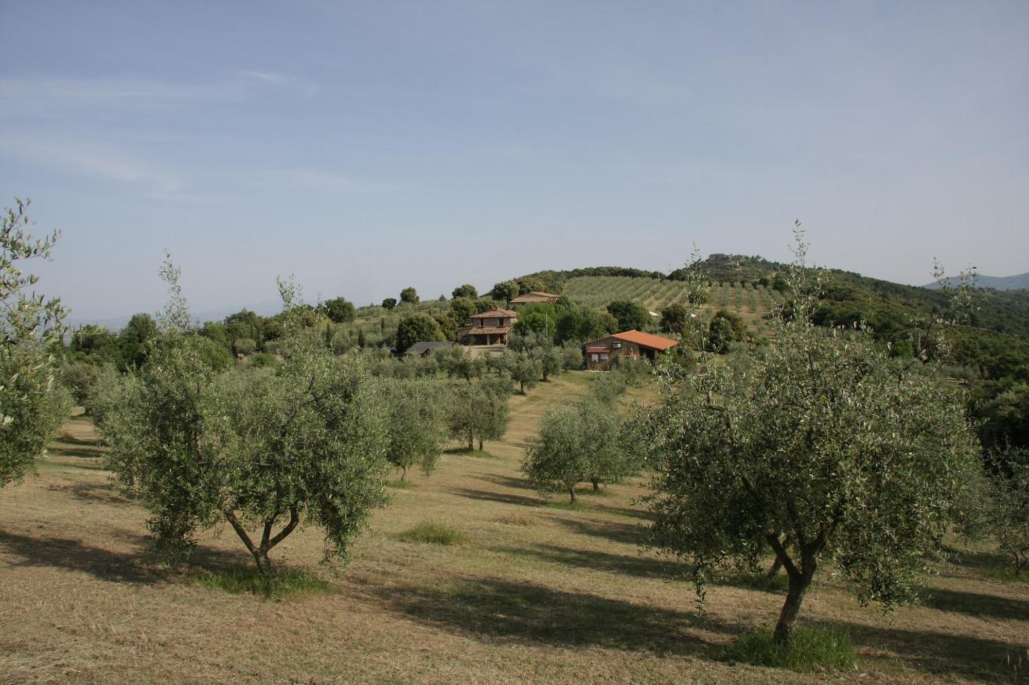 The Country House Montali Tavernelle  Exteriör bild