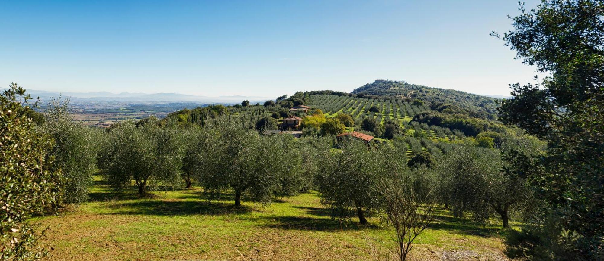 The Country House Montali Tavernelle  Exteriör bild